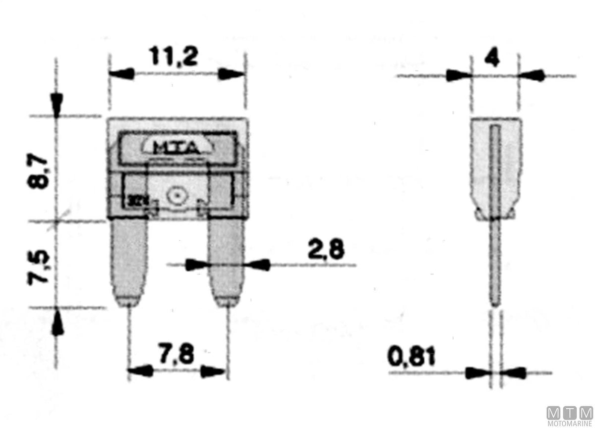 Minival fuse 5 A - original photo Motomarine Srl