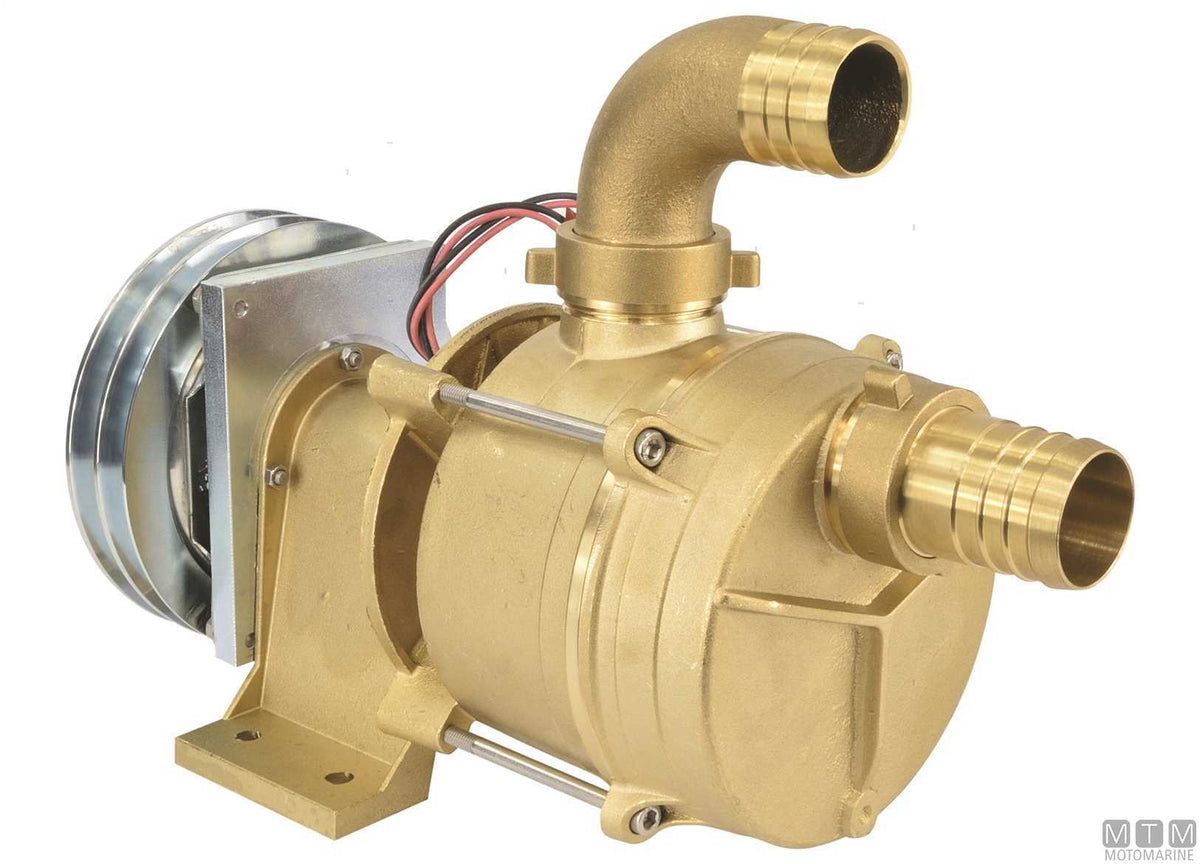 IFE series water pump with pulley 12V, Ø30 mm ports - original photo Motomarine Srl