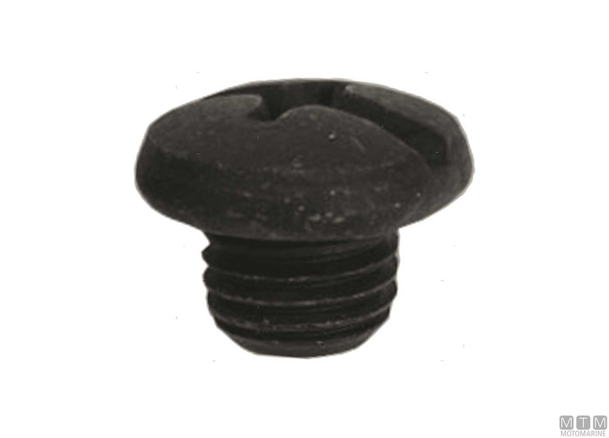 MTM oil drain screw ref. Suzuki 55128-93J10 - original photo Motomarine Srl