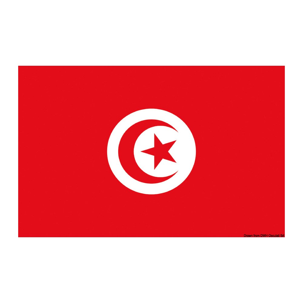 Flag Tunisia 40 x 60 cm - foto originale Osculati Srl