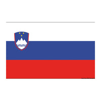 Bandiera Slovenia 70 x 100 cm