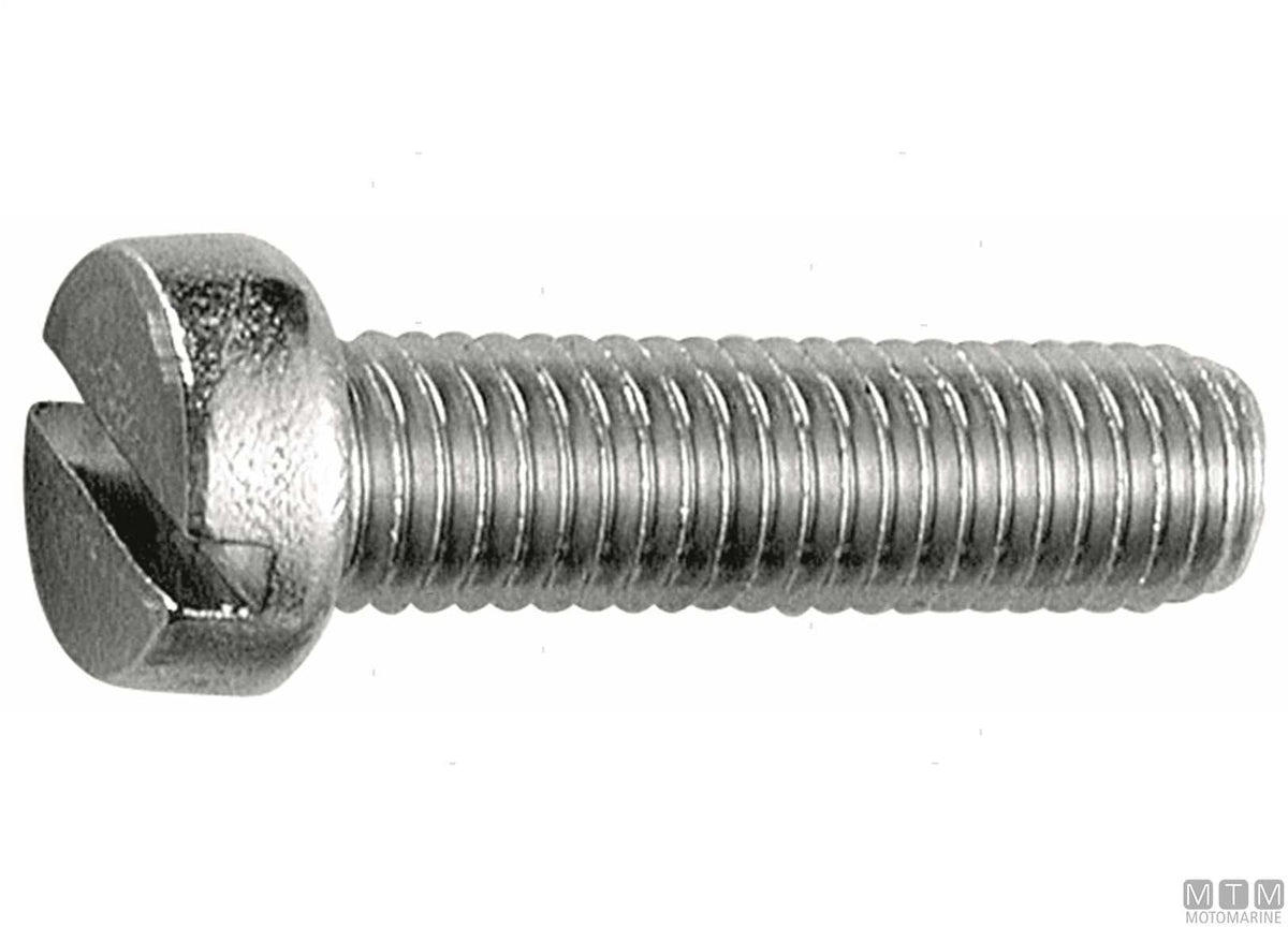 DIN84 A2 stainless steel cheese head screws M6x50, 50 pcs - original photo Motomarine Srl