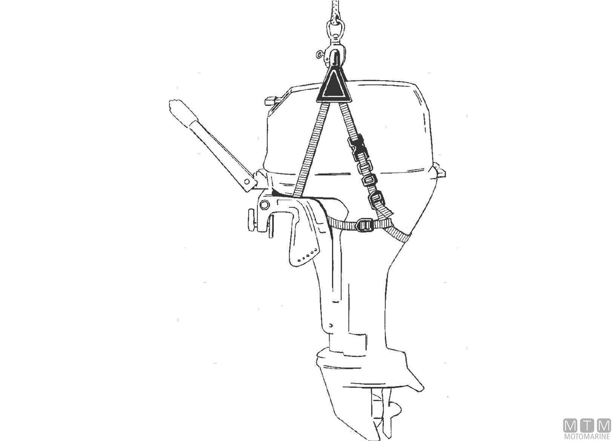 Davis motor caddy harness - original photo Motomarine Srl