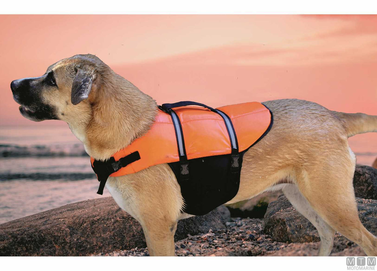 Life jacket for pets S - original photo Motomarine Srl