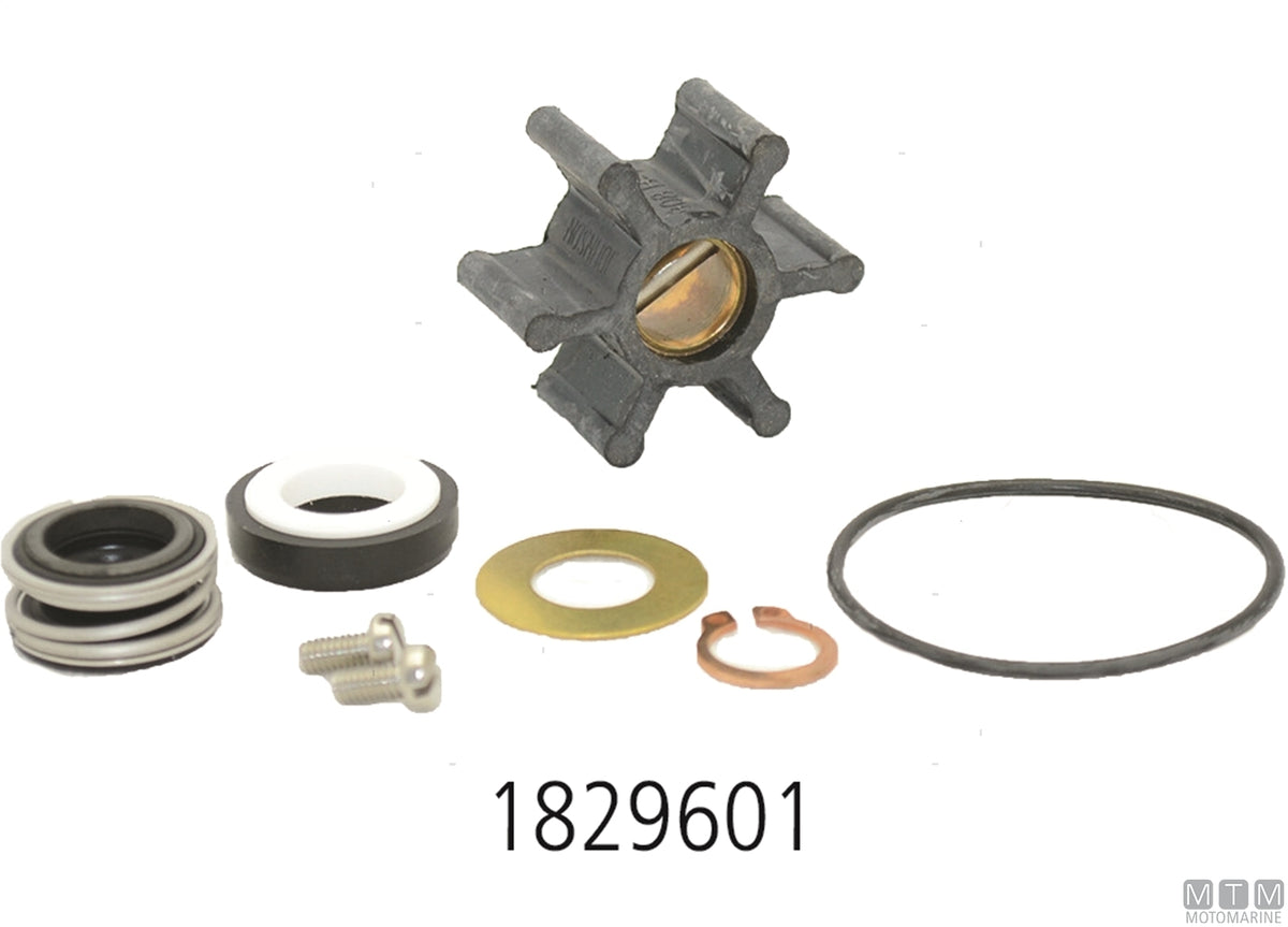 Service kit Johnson F5B-8 - original photo Motomarine Srl