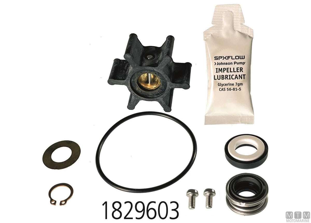 Service kit Johnson F4B-8 - original photo Motomarine Srl