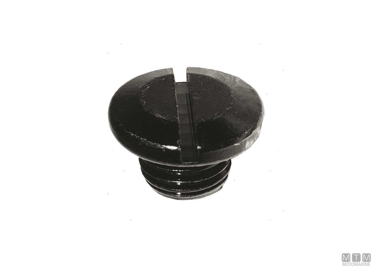 MTM oil drain screw ref. Suzuki 55128-93J10 - original photo Motomarine Srl