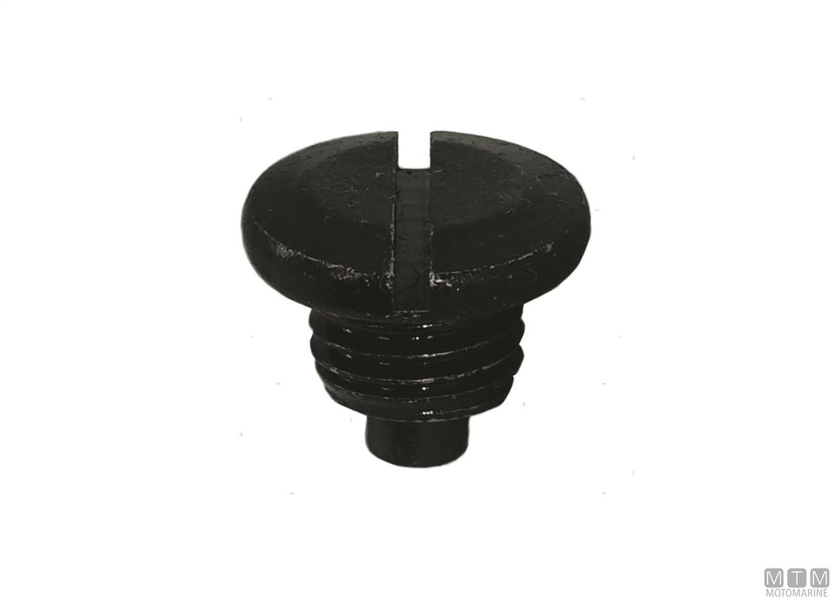 MTM oil drain screw ref. Suzuki 55128-93J10 - original photo Motomarine Srl