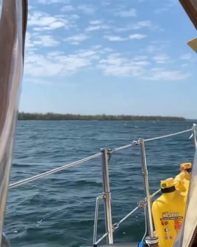 Sailing Archers