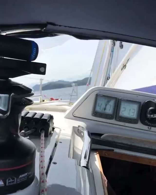 gogosailing